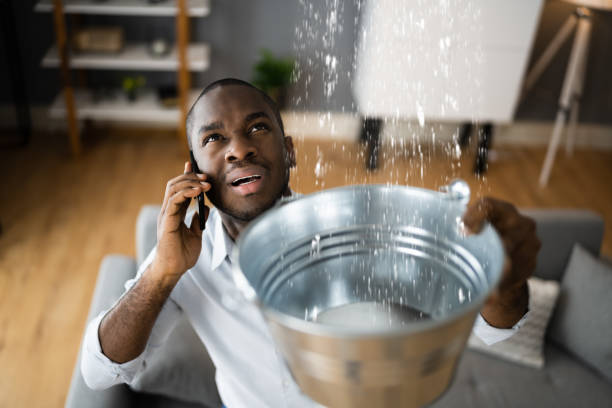 Best Commercial water damage restoration  in Lake Forest Park, WA
