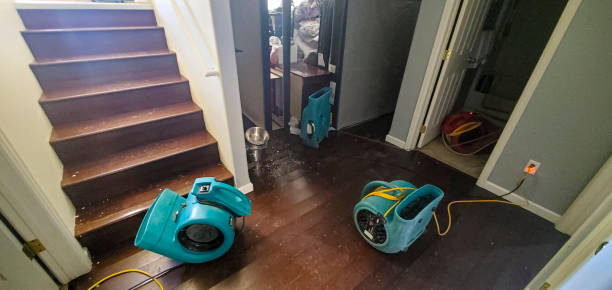 Best 24-hour water damage restoration  in Lake Forest Park, WA