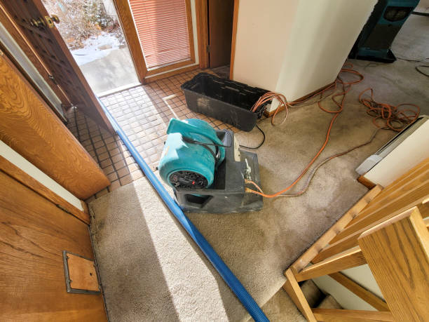  Lake Forest Park, WA Water damage restoration Pros