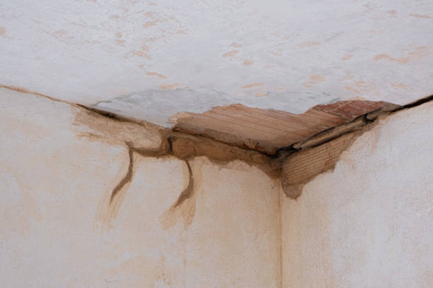 Best Flooded house restoration  in Lake Forest Park, WA
