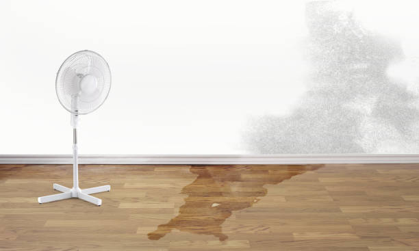Water damage restoration experts in Lake Forest Park, WA