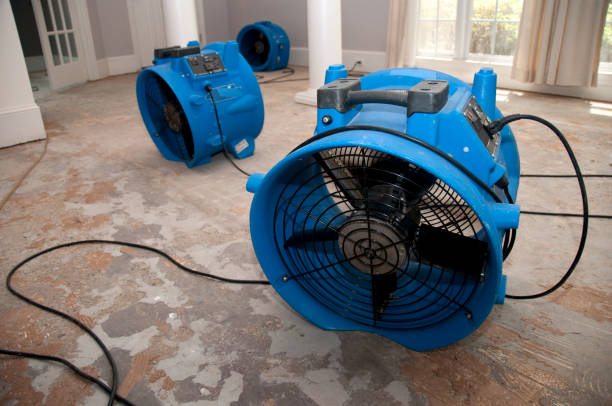 Best Local water damage restoration  in Lake Forest Park, WA