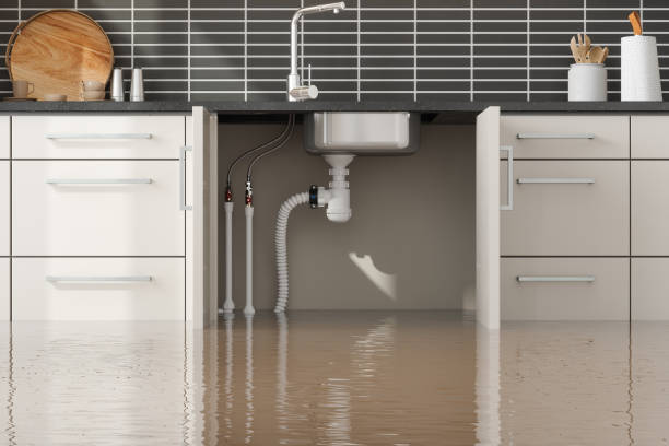 Best Ceiling water damage repair  in Lake Forest Park, WA