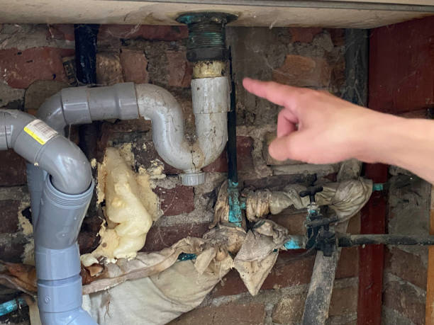 Local water damage restoration in Lake Forest Park, WA