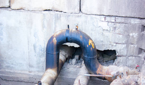 Best Sewage cleanup and water damage restoration  in Lake Forest Park, WA