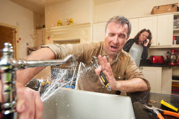 Best Basement water damage restoration  in Lake Forest Park, WA